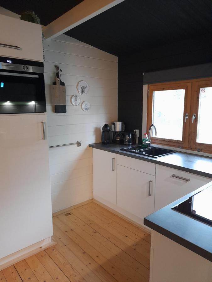 Carpe Diem, Het Ruime Chalet Met Houtkachel Nabij Wildlands Emmen Schoonebeek 外观 照片
