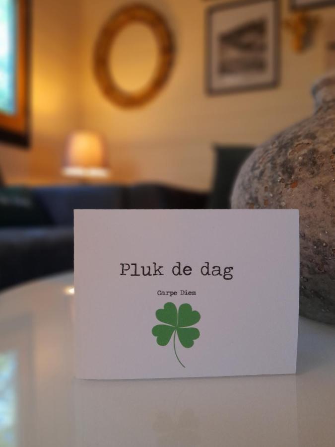 Carpe Diem, Het Ruime Chalet Met Houtkachel Nabij Wildlands Emmen Schoonebeek 外观 照片