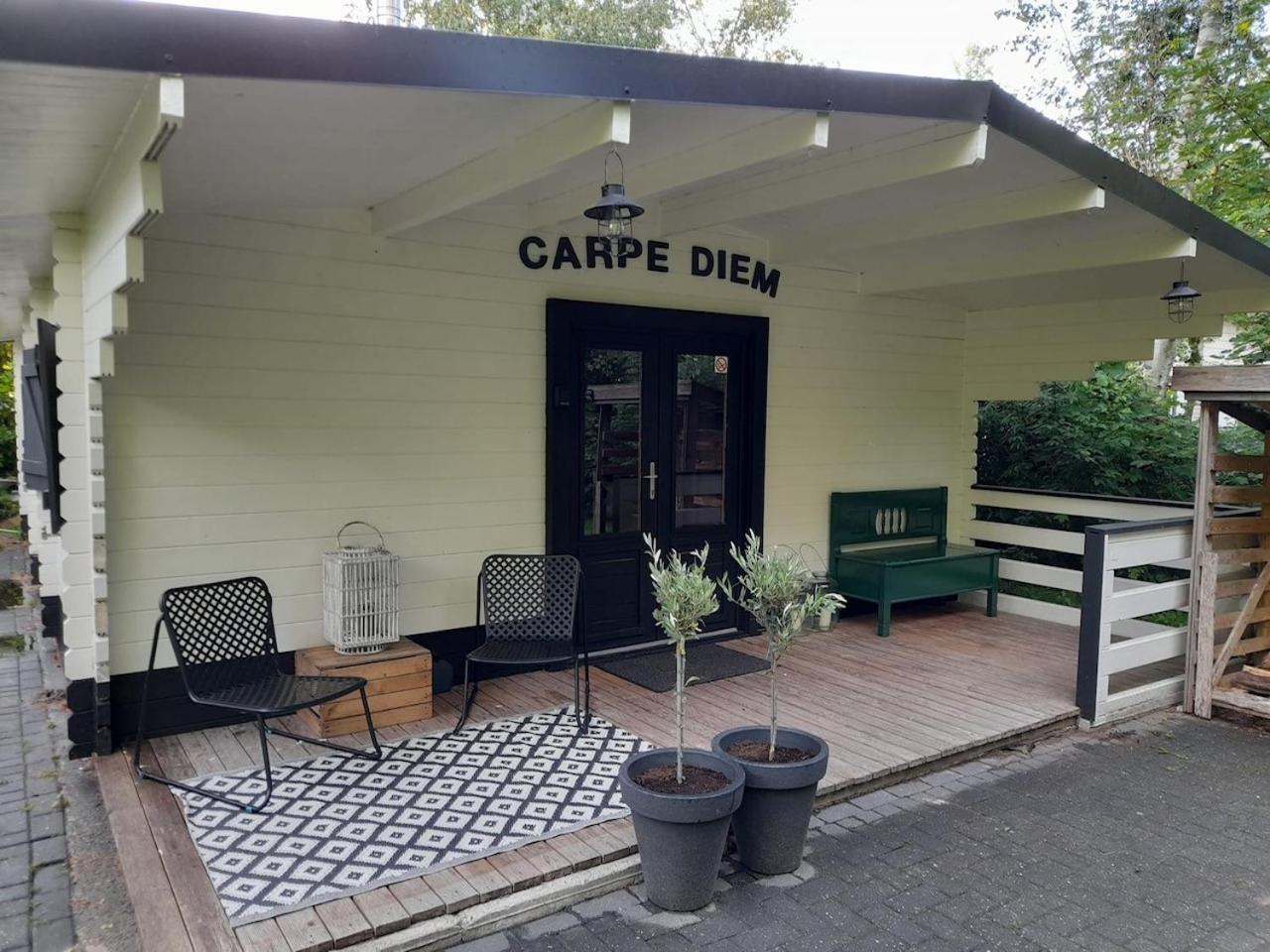 Carpe Diem, Het Ruime Chalet Met Houtkachel Nabij Wildlands Emmen Schoonebeek 外观 照片